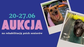 Zbiórka Aukcja 20-27 czerwca - miniaturka zdjęcia