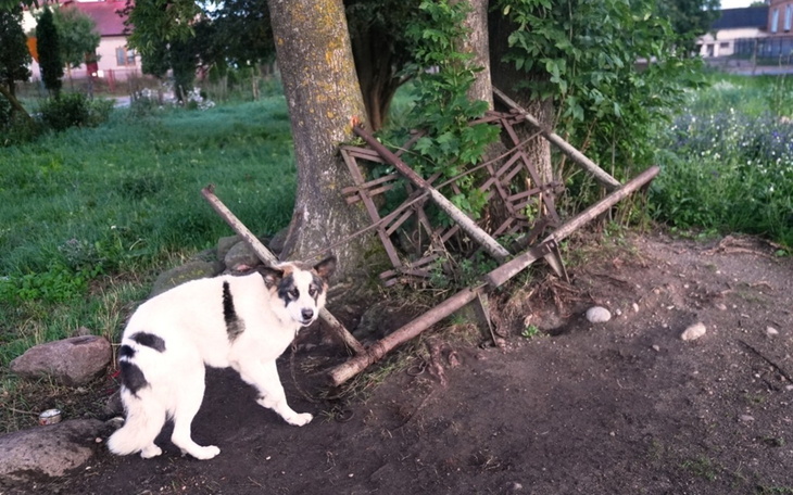 Wyciągnięte palce i zestaw na ulicy: zbiór odpadów