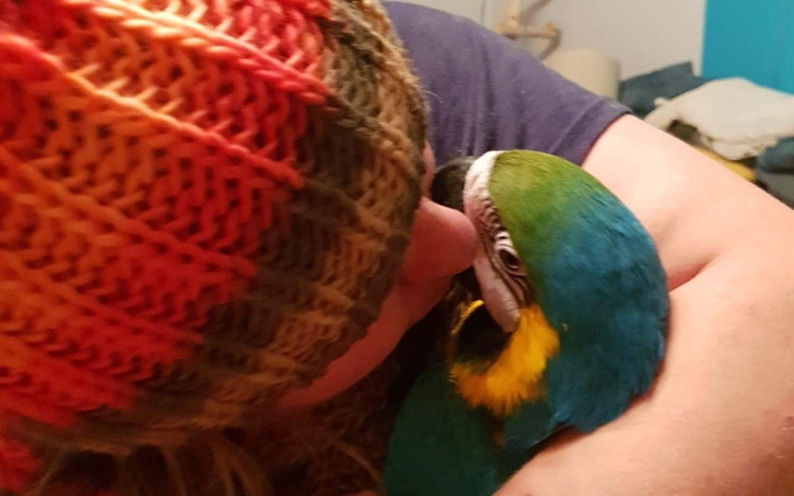 Zbiórka Na raj dla naszych zwierzat - zdjęcie główne