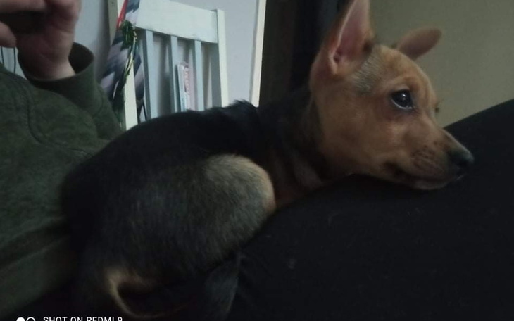 Zbiórka Grinch ma świerzb - zdjęcie główne