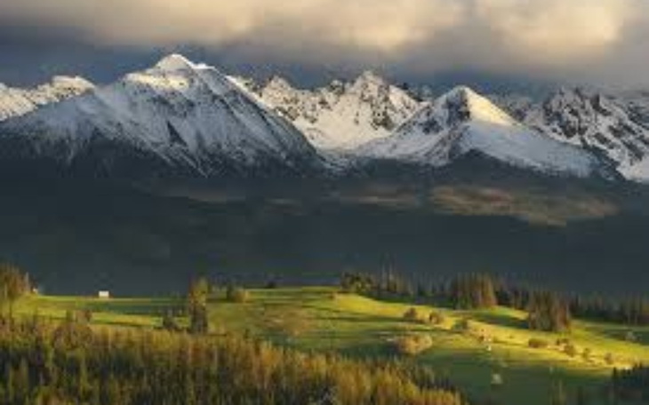 Zbiórka Powrót do korzeni - zdjęcie główne