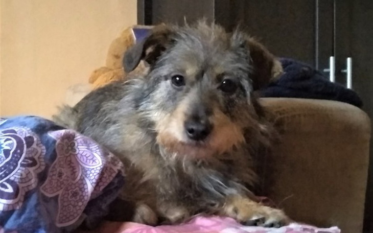 Zbiórka Moli - na wycięcie guza i hotel - zdjęcie główne