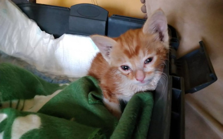 Zbiórka Pomoc dla Kruszynki - zdjęcie główne