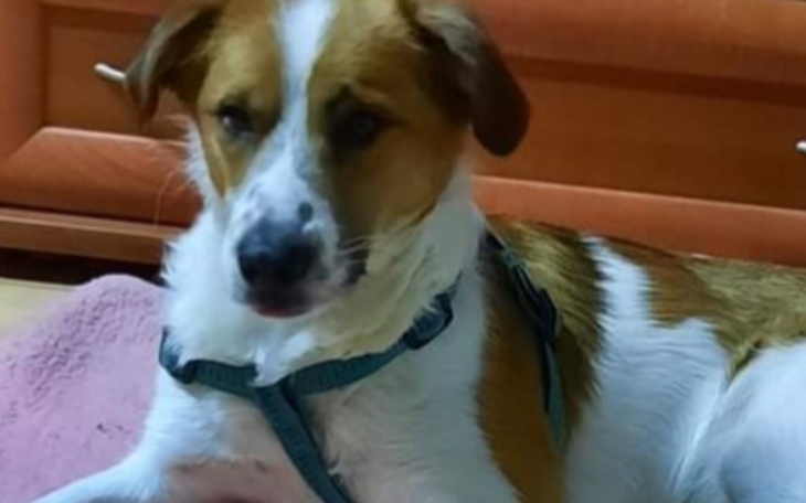 Zbiórka Neruś - zdjęcie główne