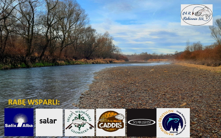 Widok rzeki w otoczeniu drzew, spokojna sceneria przyrody.