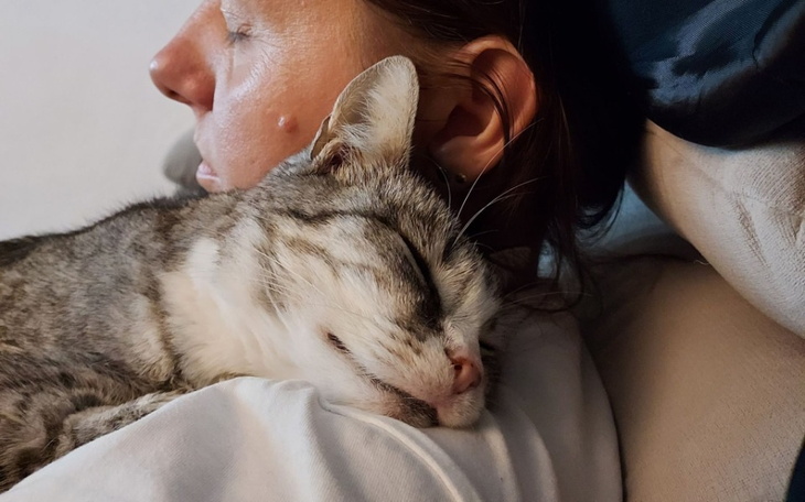 Zbiórka Tulinka-Walka z FIP - zdjęcie główne