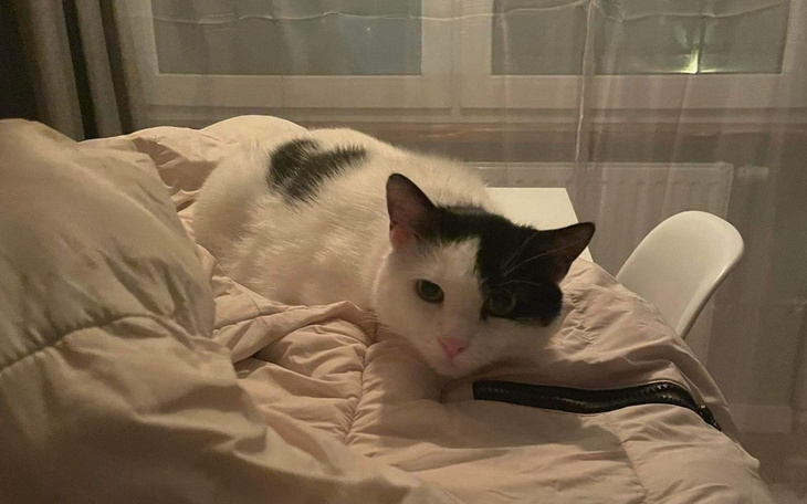 Zbiórka ŚMIERĆ znowu puka Bubie do drzwi - zdjęcie główne