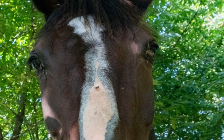 Zbiórka Na luksusy dla Eni - zdjęcie główne