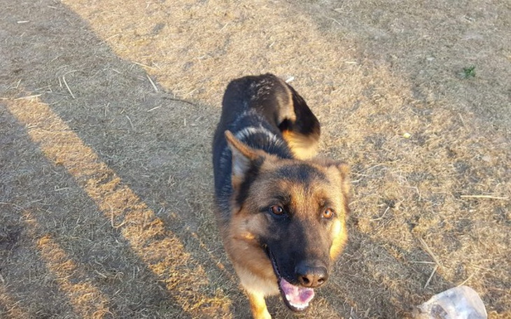 Zbiórka Na pomoc Onkom - zdjęcie główne