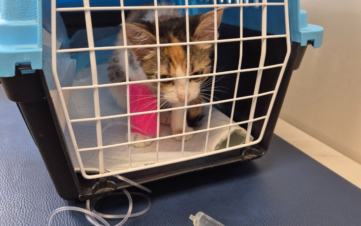 Zbiórka Na leczenie w październiku - zdjęcie główne