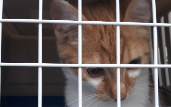 Zbiórka Bike ile jeszcze cierpienia?? - zdjęcie główne