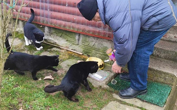Mężczyzna karmiący czarne koty przy budynku.