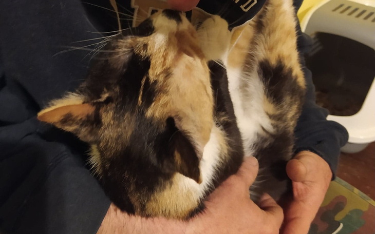 Zbiórka Zbiórka cegiełka by przetrwać 8 - zdjęcie główne