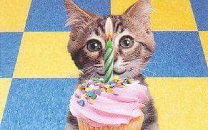 Zbiórka Urodzinowa 2023/2024 - zdjęcie główne