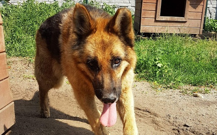 Zbiórka zbiórka zakończona dziękujemy!!! - zdjęcie główne