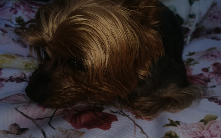 Zbiórka Na uzupełnienie pustki w sercu - zdjęcie główne