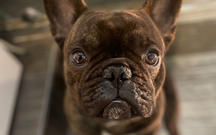 Zbiórka LUIS-operacja kregosłupa - zdjęcie główne