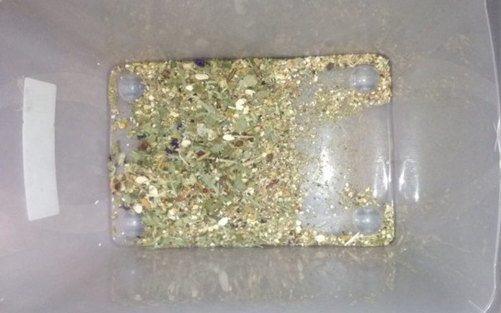 Zbiórka Karma dla tymczasów - zdjęcie główne