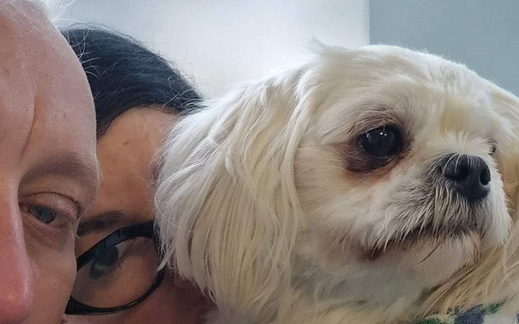 Zbiórka operowanie Psa - zdjęcie główne