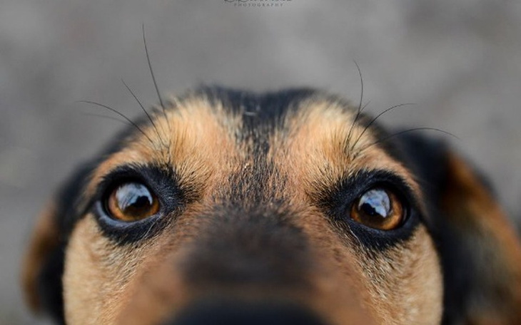 Zbiórka Świąteczna paka dla bezdomniaka! - zdjęcie główne