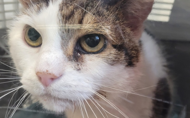 Zbiórka Bożenka chce żyć bez bólu - zdjęcie główne