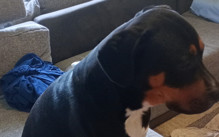 Zbiórka Dla mamy na remont domu - zdjęcie główne