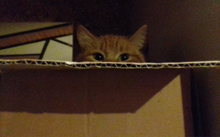 Zbiórka Kotelowa bida z nędzą... - zdjęcie główne