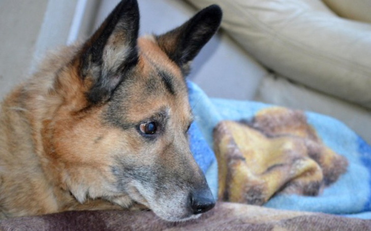 Zbiórka nim zapadną w wieczny SEN - zdjęcie główne