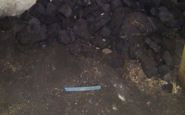 Zbiórka Zbiórka na opal - zdjęcie główne