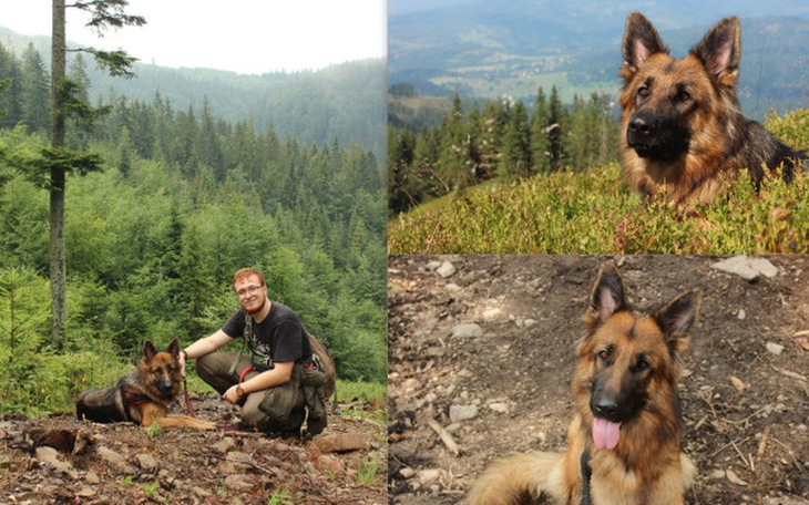 Zbiórka Zbiórka na operację dla Ashy - zdjęcie główne