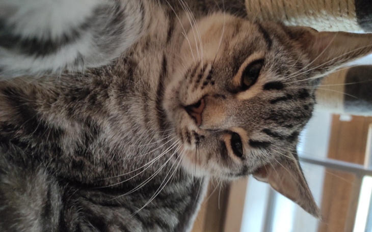 Zbiórka Proba1 - zdjęcie główne