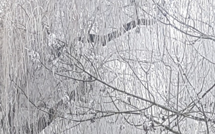 Zbiórka Pomoc w wyjściu na prostą samotn - zdjęcie główne