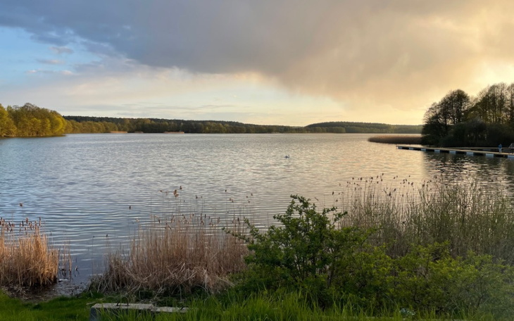Zbiórka chcę wrócić do dawnej siebie. - zdjęcie główne
