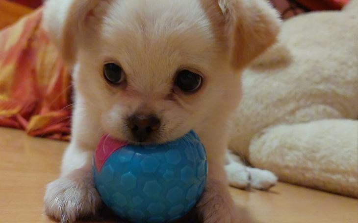Zbiórka Pomoc w leczeniu Ducha - zdjęcie główne