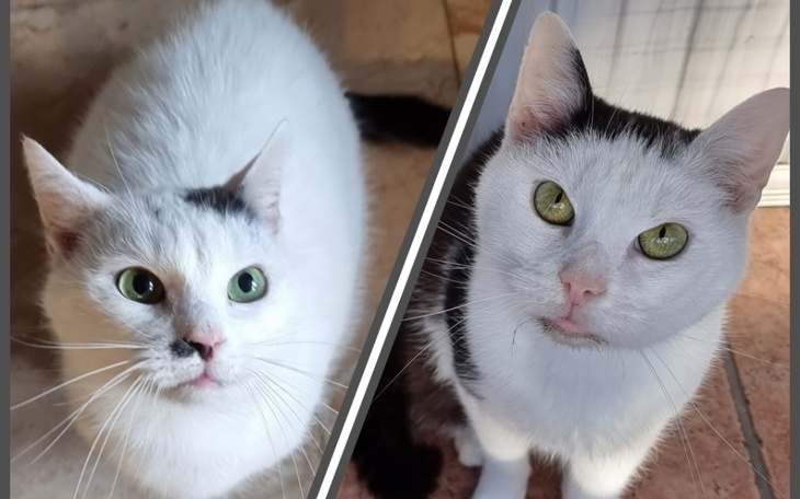 Zbiórka Maurycy i Jasiek walczą o życie - zdjęcie główne