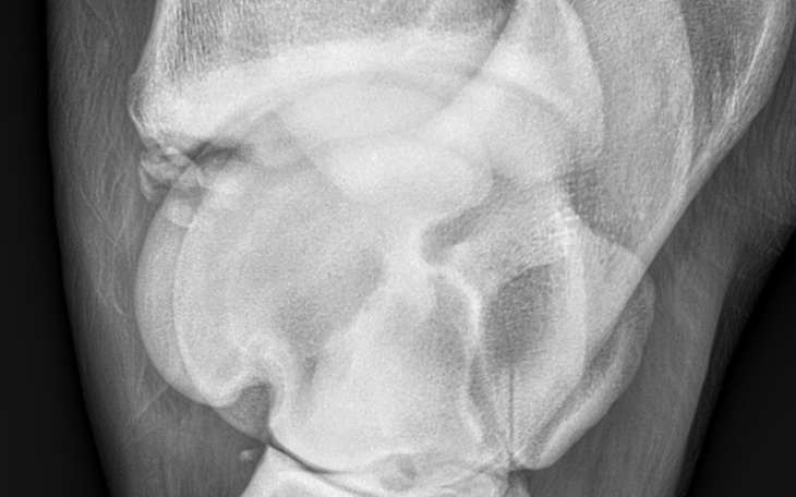 Zbiórka Pomoc dla Wichra - zdjęcie główne