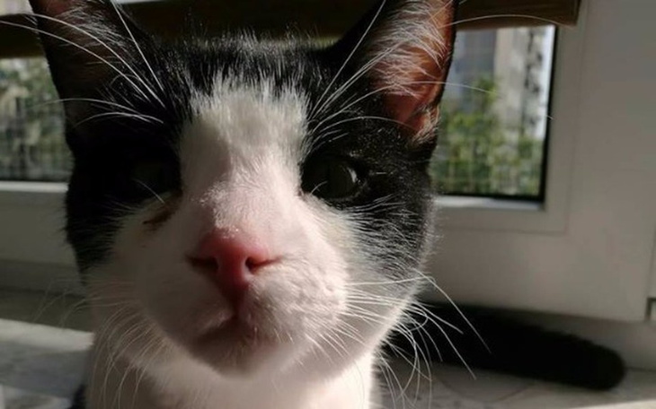 Zbiórka operacja ratująca życie - zdjęcie główne