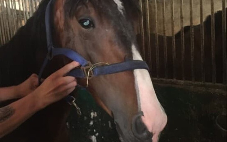 Zbiórka 7 dni na uratowanie życia! - zdjęcie główne