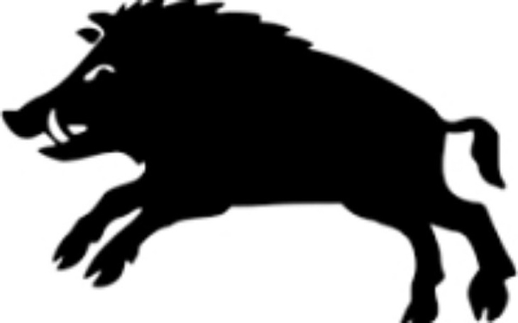 Zbiórka Na lepszy sprzęt dla #TeamOdyńce - zdjęcie główne