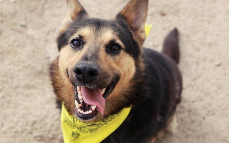 Zbiórka Naprawa nóżki Prezesa - zdjęcie główne