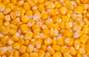 Zbiórka Tona kukurydzy - miniaturka zdjęcia