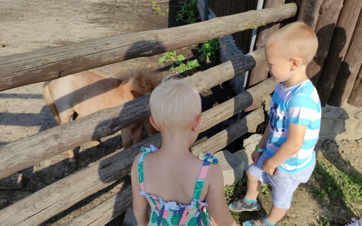 Zbiórka Zbiórka na zakup żywności - zdjęcie główne