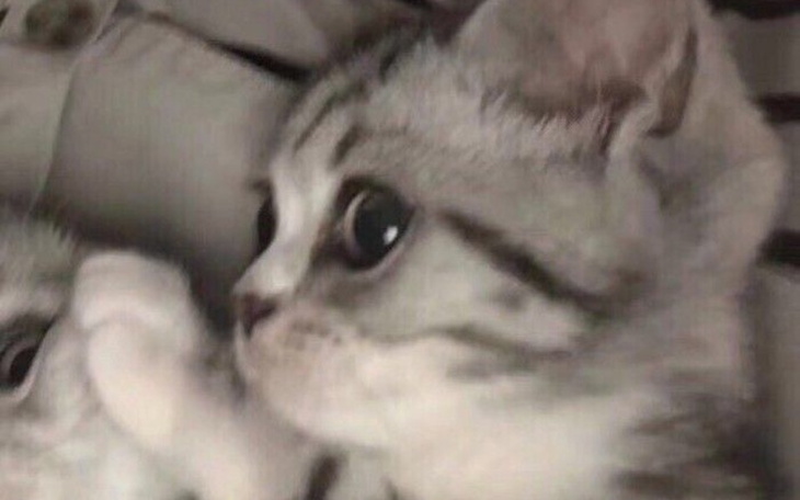 Zbiórka Na wakacje dla mojej rodziny - zdjęcie główne