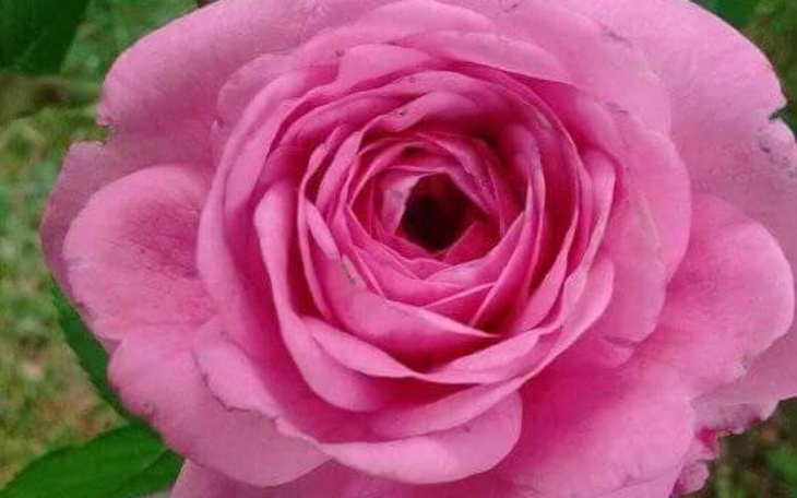 Zbiórka Kuchnia,pokój,skromny remont, - zdjęcie główne