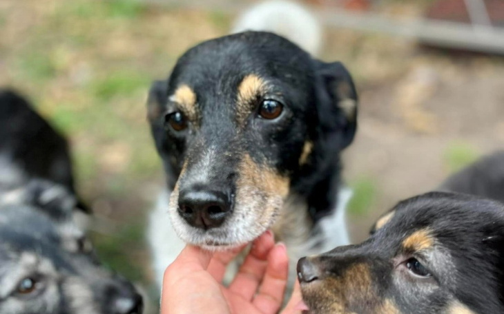 Zbiórka Bunia i jej jesień życia - zdjęcie główne