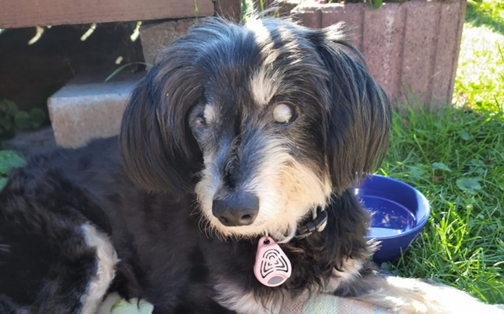 Zbiórka Na zdrowie dla Tymka - zdjęcie główne