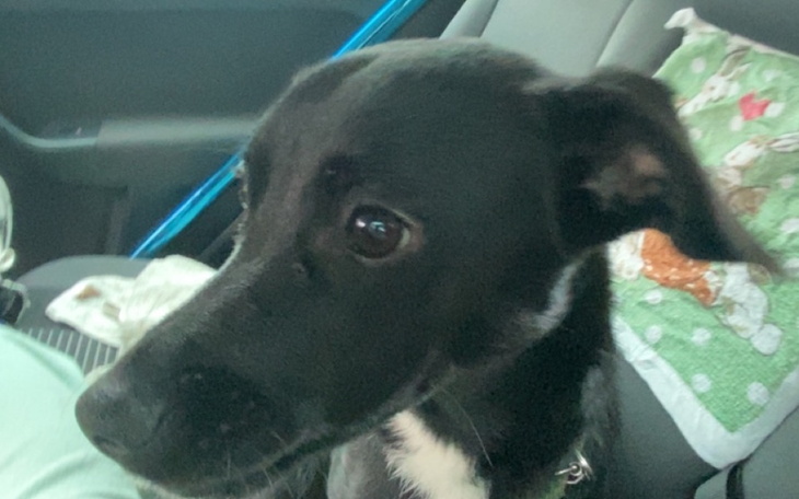 Zbiórka Leczenie i Operacja Ateny - zdjęcie główne