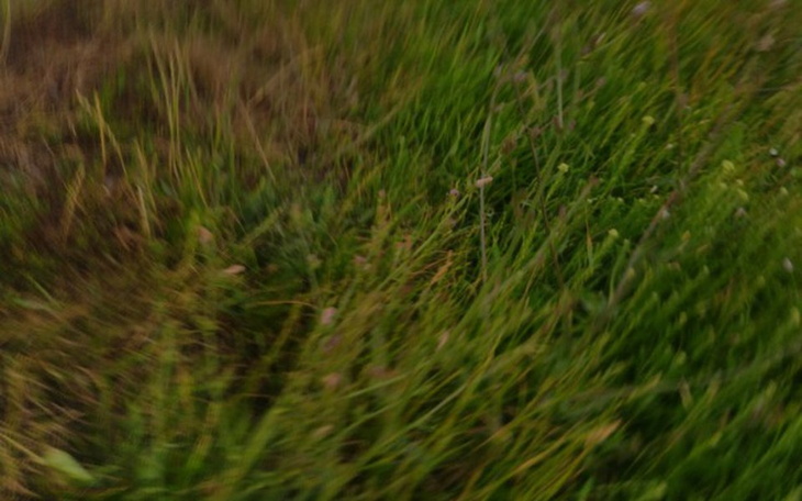 Zbiórka Marzenia😀 - zdjęcie główne