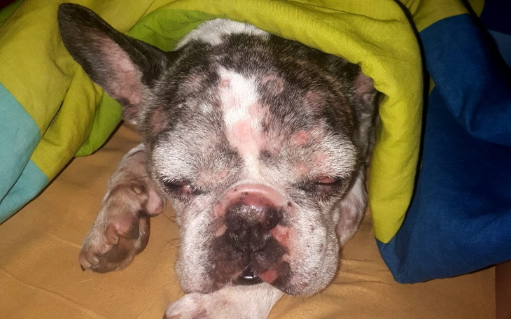 Zbiórka Dla Ziomka. - zdjęcie główne