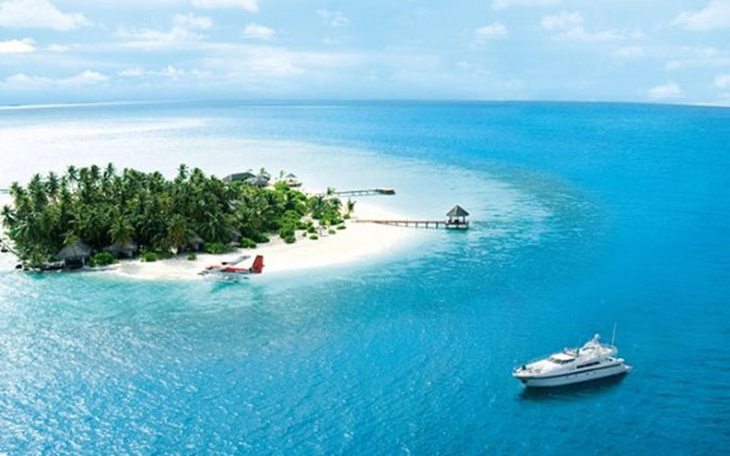 Zbiórka Trip Dreams - zdjęcie główne